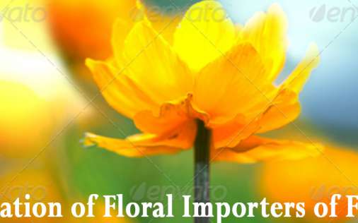 Association of Floral Importers of Florida